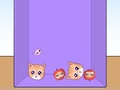 Ойын Evolution of Cat Memes