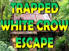 Ойын Trapped White Crow Escape