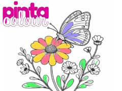 Ойын Pinta Colour