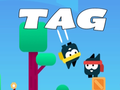 Ойын Tag