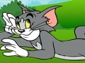 Ойын Tom and Jerry ATV Adventure