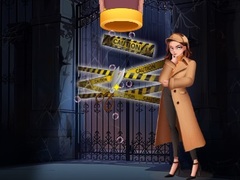 Ойын Pin Detective