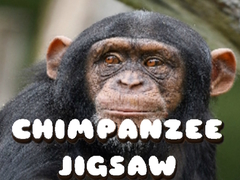 Ойын Chimpanzee Jigsaw