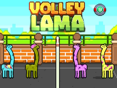 Ойын Volley Lama