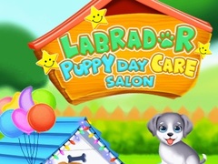 Ойын Labrador Puppy Daycare Salon