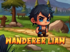 Ойын Wanderer Liam