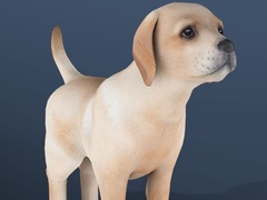 Ойын IDLE Pet