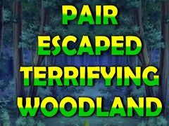 Ойын Pair Escaped Terrifying Woodland