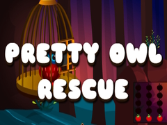 Ойын Pretty Owl Rescue