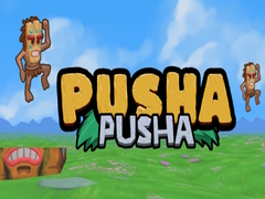 Ойын Pusha Pusha