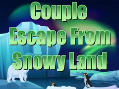 Ойын Couple Escape from Snowy Land