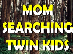 Ойын Mom Searching Twin Kids