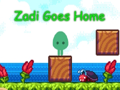 Ойын Zadi Goes Home