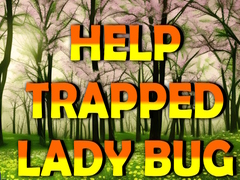 Ойын Help Trapped Lady Bug