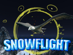 Ойын Snowflight
