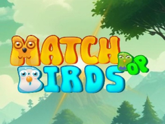 Ойын Match Pop Birds