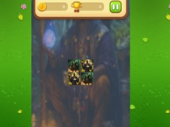 Ойын Magic Druid Memory Match