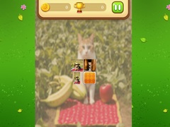 Ойын Farm Cat Memory Match