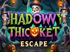 Ойын Shadowy Thicket Escape