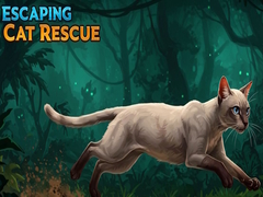 Ойын Escaping Cat Rescue