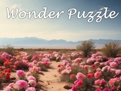 Ойын Wonder Puzzle