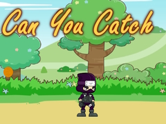 Ойын Can You Catch