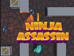 Ойын Ninja Assassin