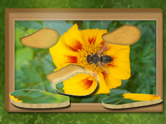 Ойын Find & Restore: Hidden Puzzle