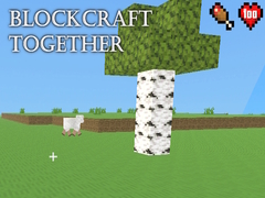 Ойын BlockCraft Together