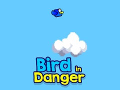 Ойын Bird in Danger