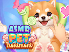 Ойын ASMR Pet Treatment
