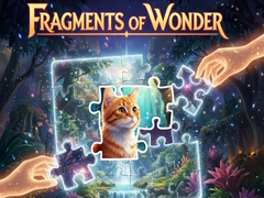 Ойын Fragments of Wonder