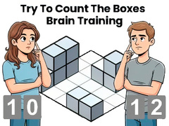 Ойын Try To Count The Boxes Brain Training