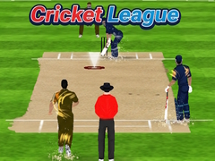 Ойын Cricket League