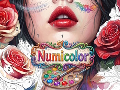 Ойын Numicolor