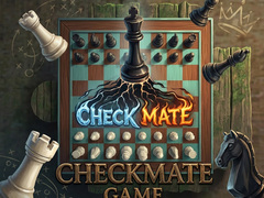 Ойын Checkmate Game