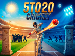 Ойын 5TO20 Cricket