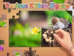 Ойын Curious Kitten Jigsaw