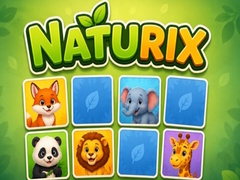 Ойын Naturix