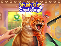 Ойын Brush Cat Challenge 