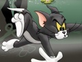 Ойын Tom And Jerry Chase In Marsh