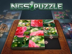 Ойын NGS Puzzle