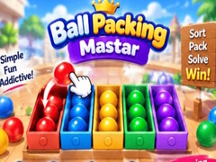 Ойын Packing Master Puzzle
