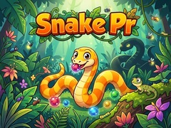 Ойын Snake Pr