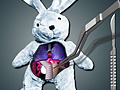 Ойын Save The Bunny