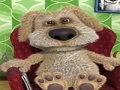 Ойын Talking Ben the Dog