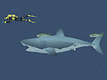 Ойын Mad Shark