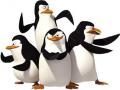 Мадагаскар ойындар Penguins 