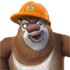 Bears көршілер ойындар 